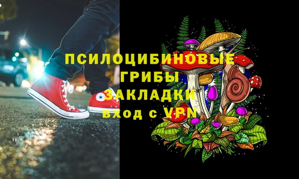 ALPHA PVP Верея